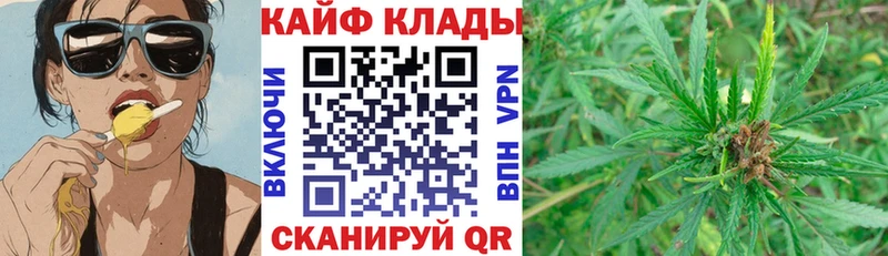 Галлюциногенные грибы Ялуторовск