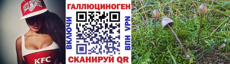 Купить закладки  Ялуторовск  Псилоцибиновые грибы Psilocybine cubensis 