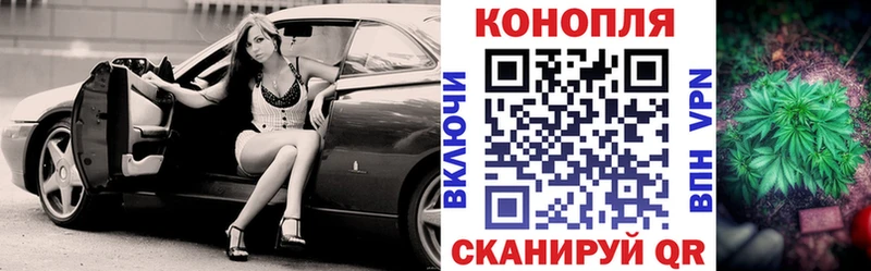 Купить где  Ялуторовск  Канабис THC 21% 